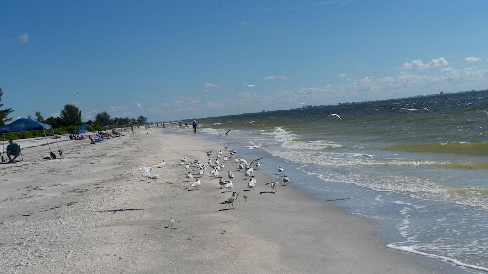 Gulf Breeze Cottages Sanibel Kültér fotó